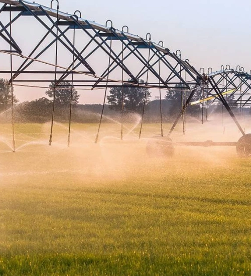 Control STEMIS — Agroindustria