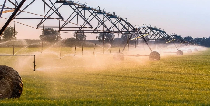 Control STEMIS — Agroindustria